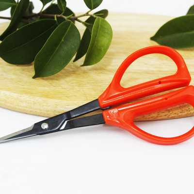 Kéo cắt nho cao cấp Nhật Bản Chikamasa B-300