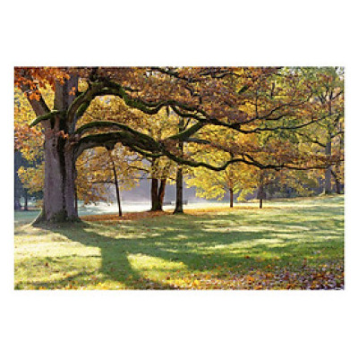 Tranh Dán Tường Phong Cảnh 3D LN0134