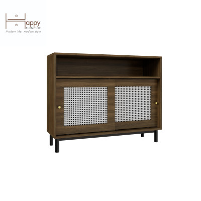 [Happy Home Furniture] ROTAN, Tủ đựng đồ 2 cánh lùa - chân sắt , 100cm x 34cm x 80cm ( DxRxC), TCL_033