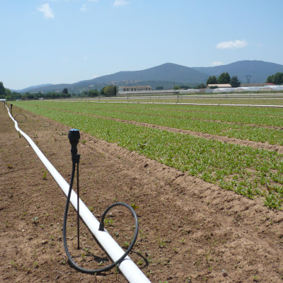 bộ 10 đầu phun meganet 360 độ xanh blue lưu lượng 450l/h