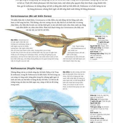 Sách - Bách Khoa Khủng Long Toàn Tập - Bìa Cứng