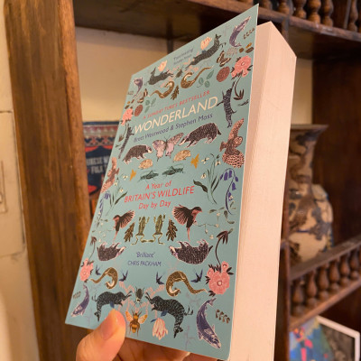 Sách - Wonderland: A Year of Britain