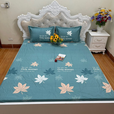 Ga giường chun cotton 100% bọc đệm tặng kèm 2 vỏ gối đầu