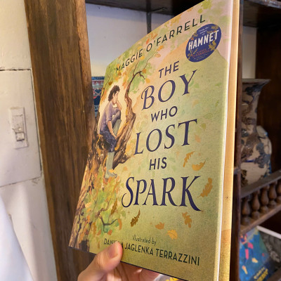 Sách - The Boy Who Lost His Spark by Maggie O