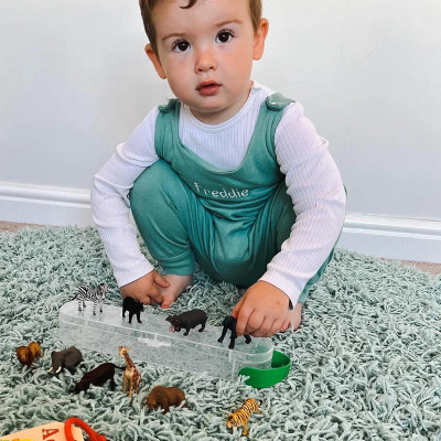 Đồ Chơi Mô Hình 12 Động Vật Hoang Dã CollectA -1 - CollectA A1105