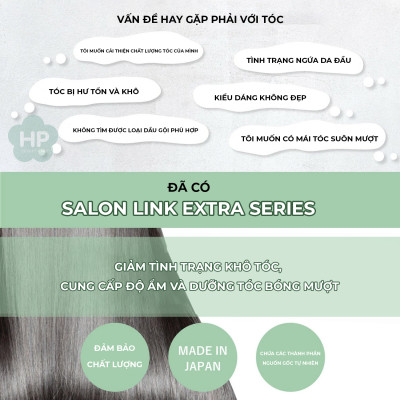 Kem Xả ủ Phục Hồi Tóc Hư Tổn Salon Link Extra Treatment 300G