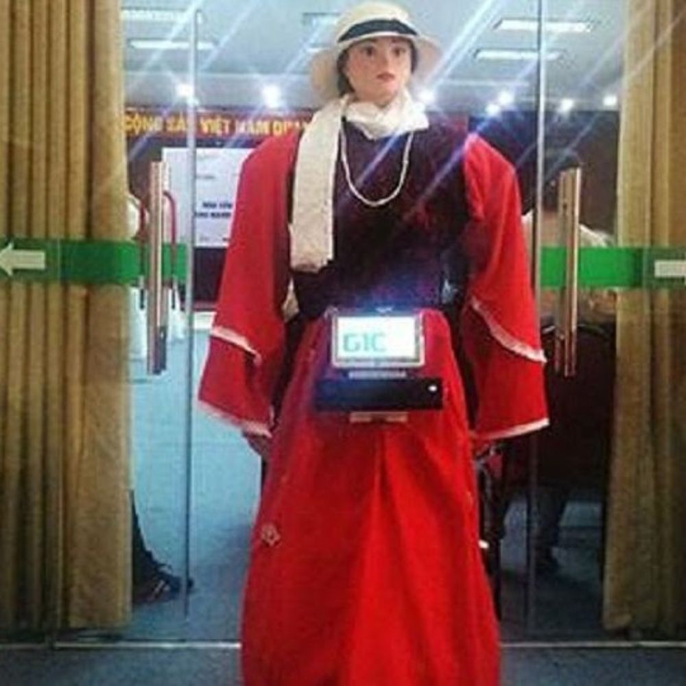 Robot Mô Phỏng Người Viebot