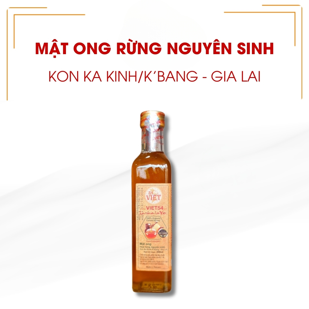 Mật Ong Rừng Nguyên Sinh Kon Ka Kinh/K’Bang 250ml