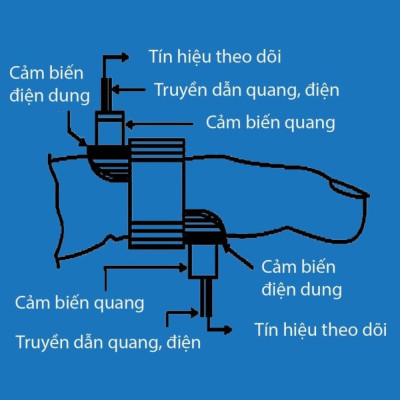 Máy Đo Đường Huyết Không Xâm Lấn