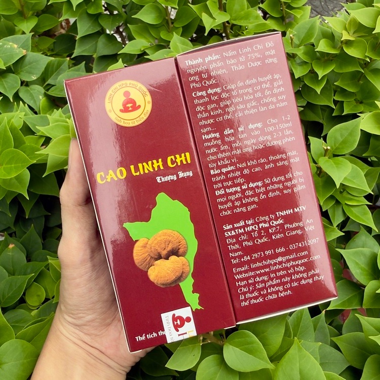 Cao Linh Chi Và Nấm Linh Chi Thái Lát Loại Nào Tốt Hơn?