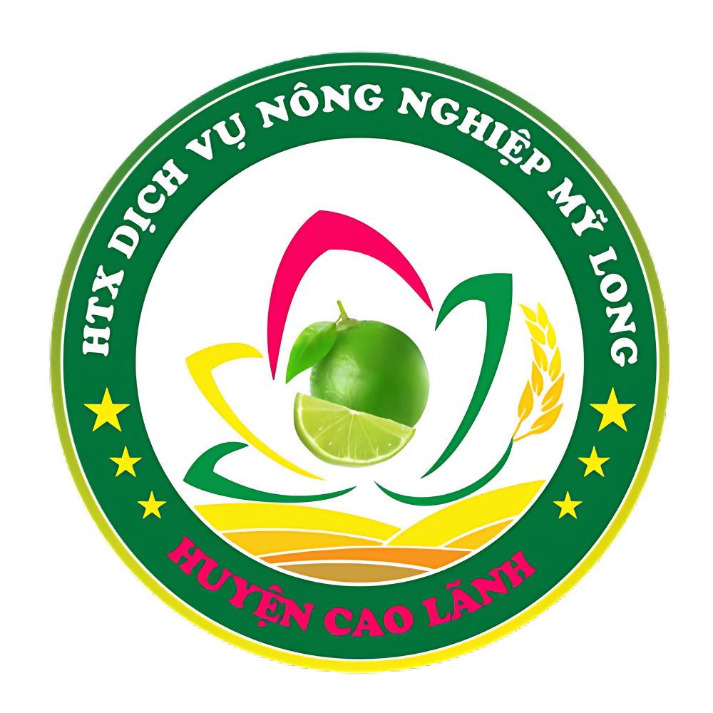 Bộ Giấy Tờ - Chứng Nhận Hợp Tác Xã Dịch Vụ Nông Nghiệp Mỹ Long