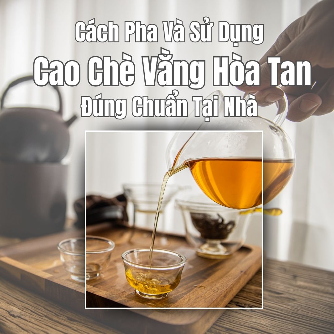 Cách Pha Và Sử Dụng Cao Chè Vằng Hòa Tan Đúng Chuẩn Tại Nhà