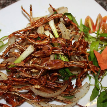 Khô Nhái Sa Đéc – Món Đặc Sản “Nhỏ Mà Có Võ” Của Miền Tây