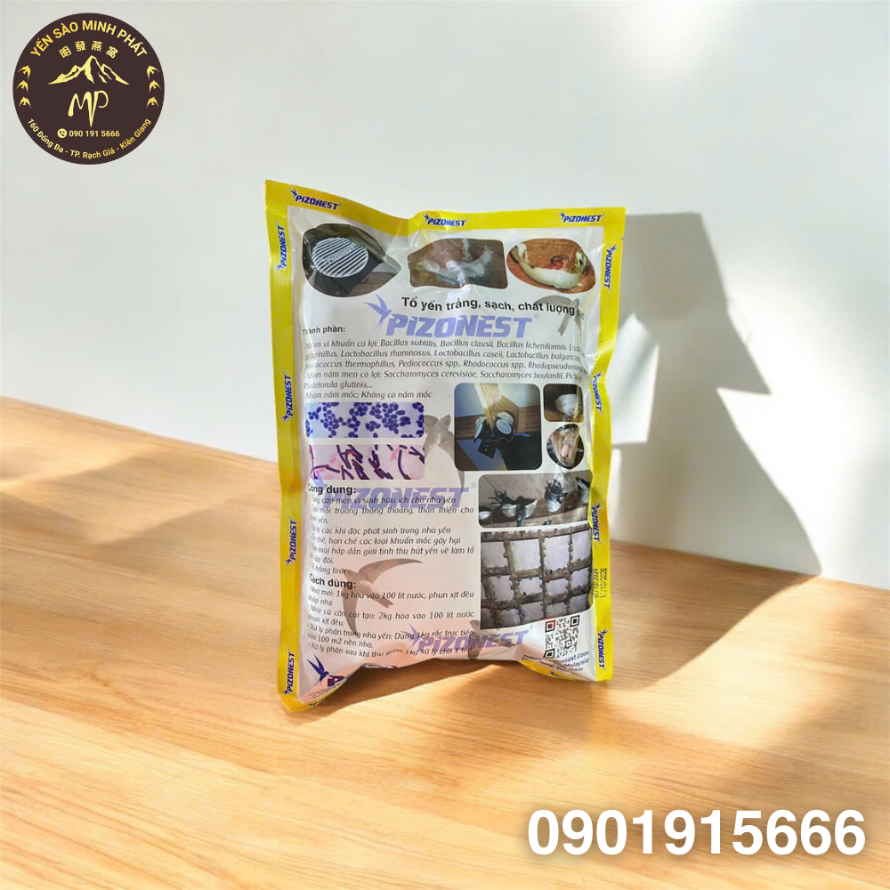 Men Vi Sinh PROBIOTIC PIZONEST