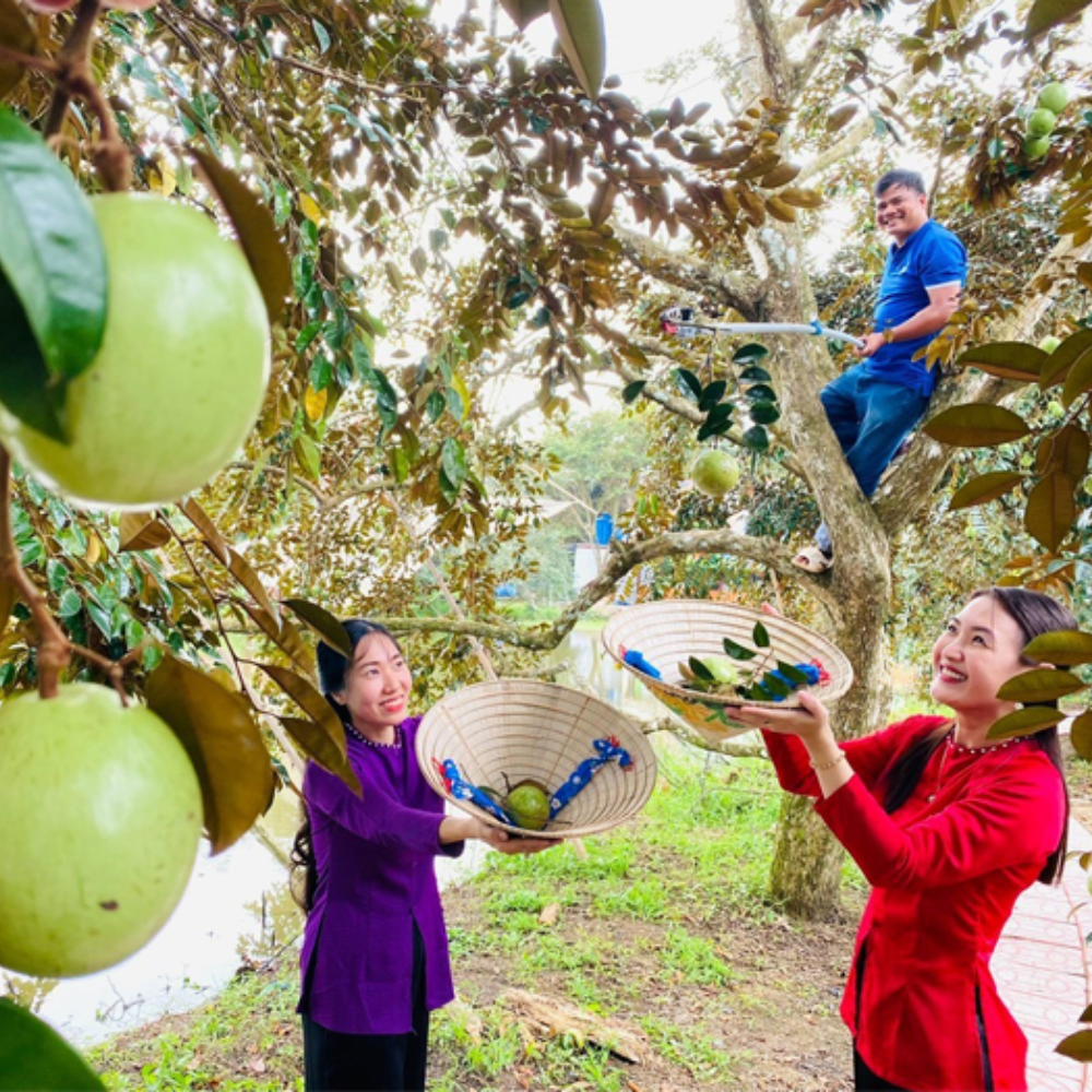 Khám Phá Mô Hình Du Lịch Sinh Thái Mới Lạ Tại Tuấn Tường