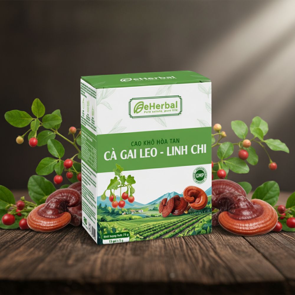 Bí Quyết Dưỡng Gan Tự Nhiên Từ Thảo Mộc Và Nấm Quý