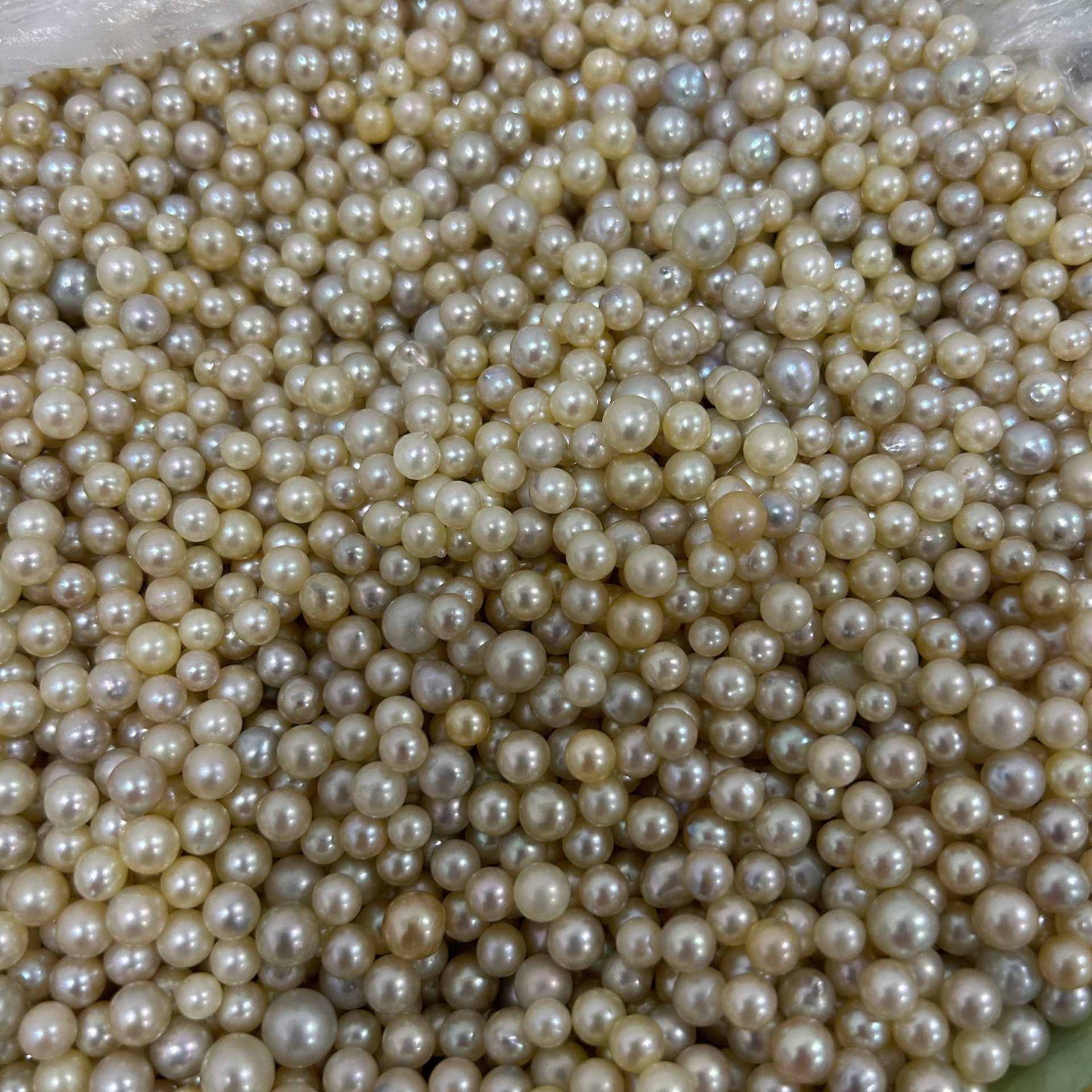 Ngọc Trai Nước Mặn Akoya (Thô) - Size 2mm - 10 mm