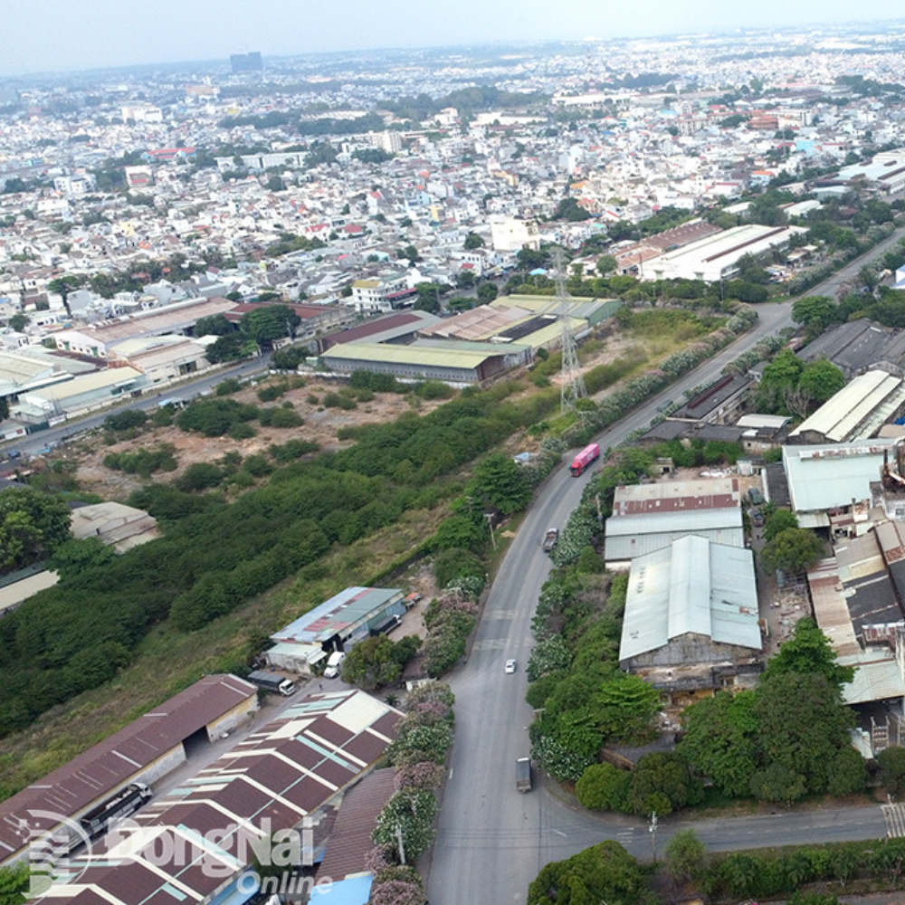 Đồng Nai Sẽ Kiến Nghị Trung Ương Về Chính Sách Bồi Thường,  Hỗ Trợ Doanh Nghiệp Trong Diện Di Dời