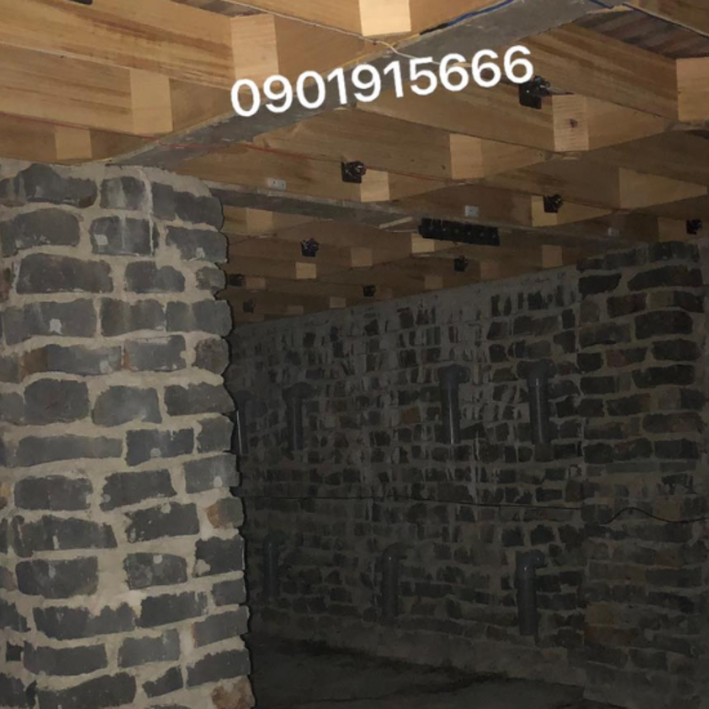 Cách Dẫn Dụ Chim Yến Hiệu Quả: 5 Bước Vàng Chủ Nhà Yến Nên Biết