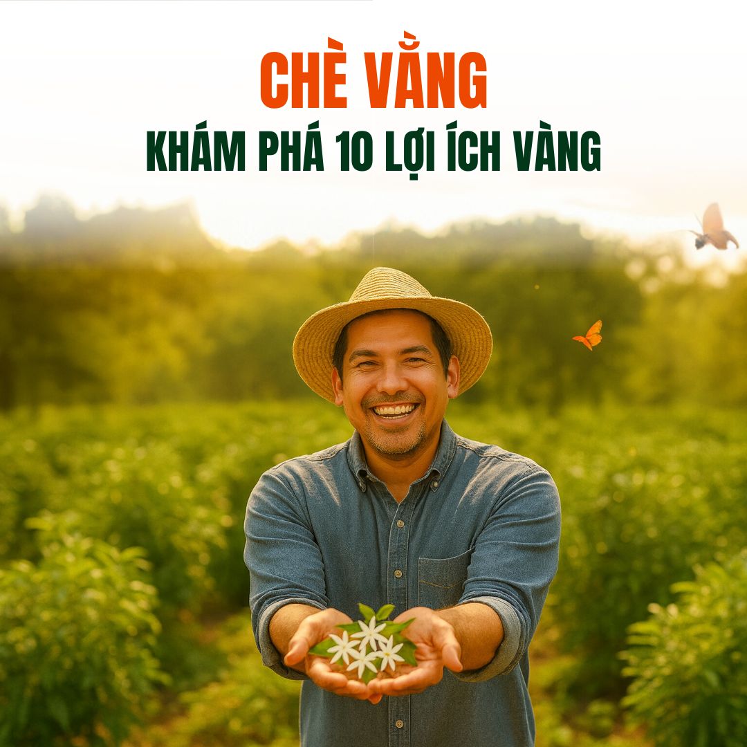 Khám Phá 11 Lợi Ích Vàng Cho Sức Khỏe Của Chè Vằng