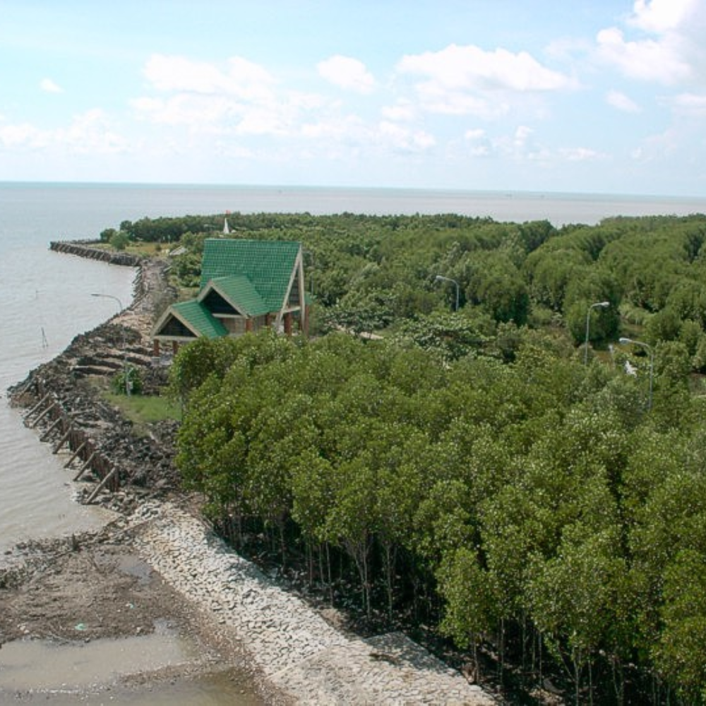 Cà Mau mời gọi đầu tư 2000 tỷ đồng để phát triển du lịch