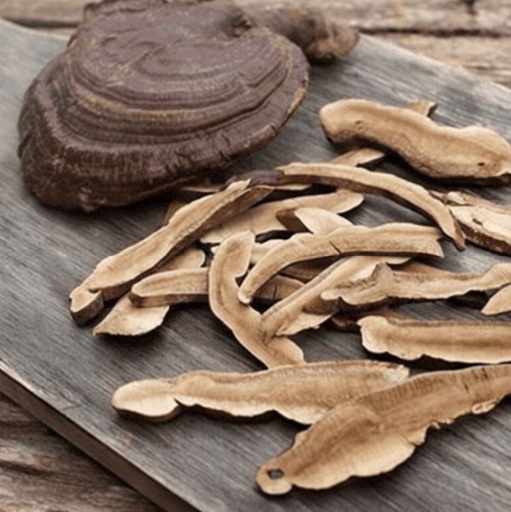 Nấm Linh Chi Núi Hàn Quốc Có Tác Dụng Gì?