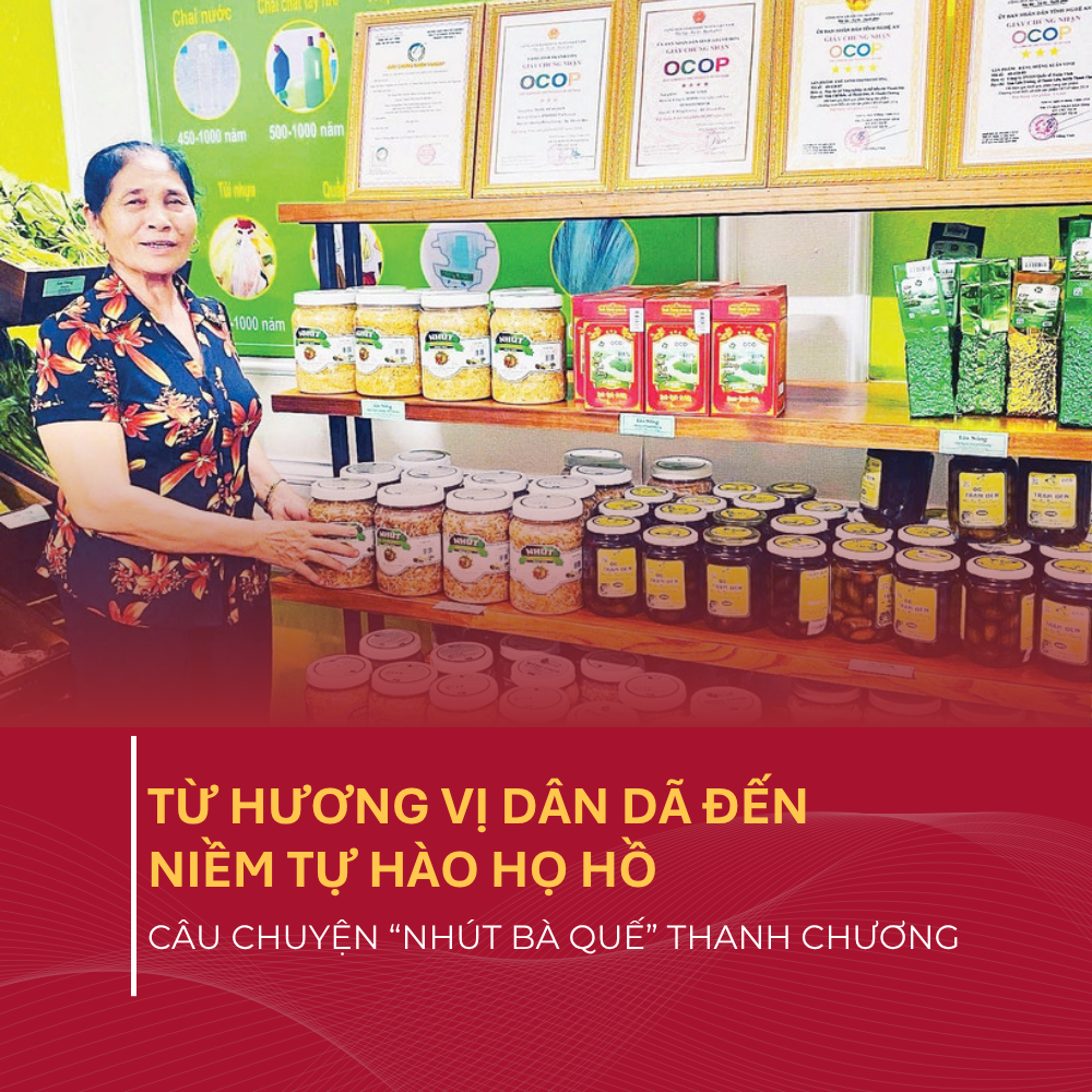 Từ Hương Vị Dân Dã Đến Niềm Tự Hào Họ Hồ – Câu Chuyện “Nhút Bà Quế” Thanh Chương