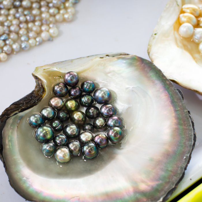 Ngọc Trai Có Thể Sửa Chữa Được Không?