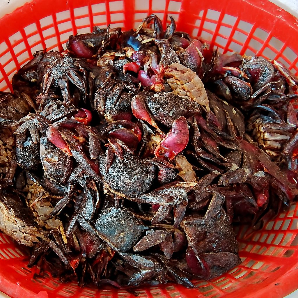 Mắm Ba Khía Đăc Sản Trứ Danh Miền Tây Có Gì Đặc Biệt?