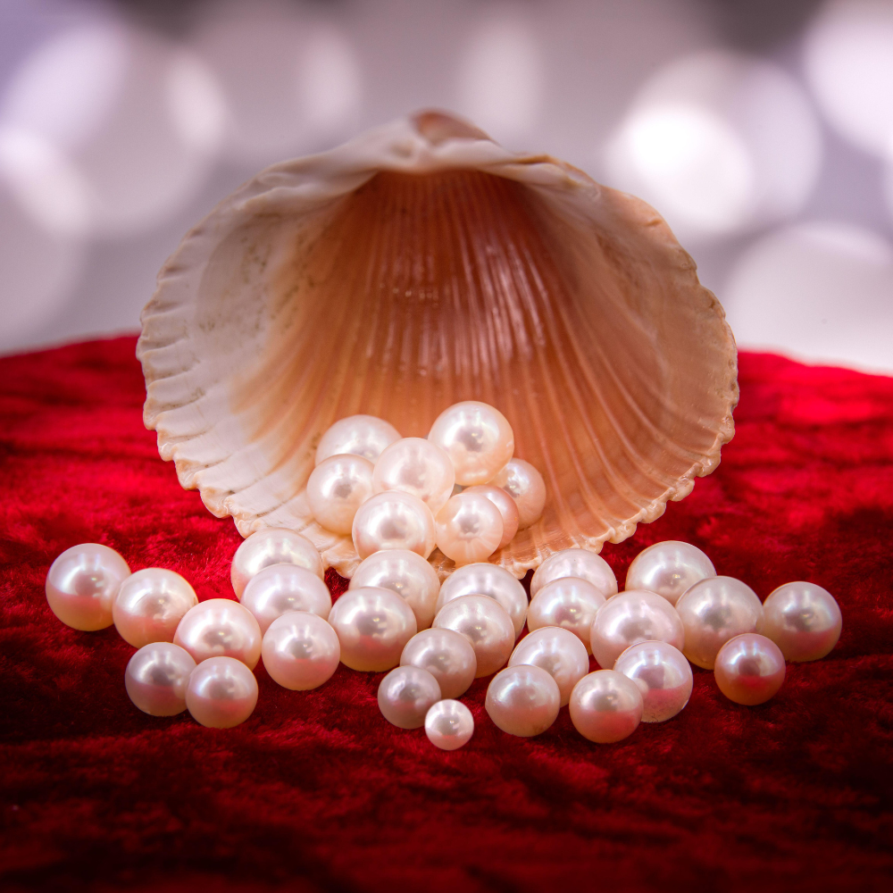 Ngọc Trai Akoya Vẻ Đẹp Tinh Khiết Từ Đấy Biển