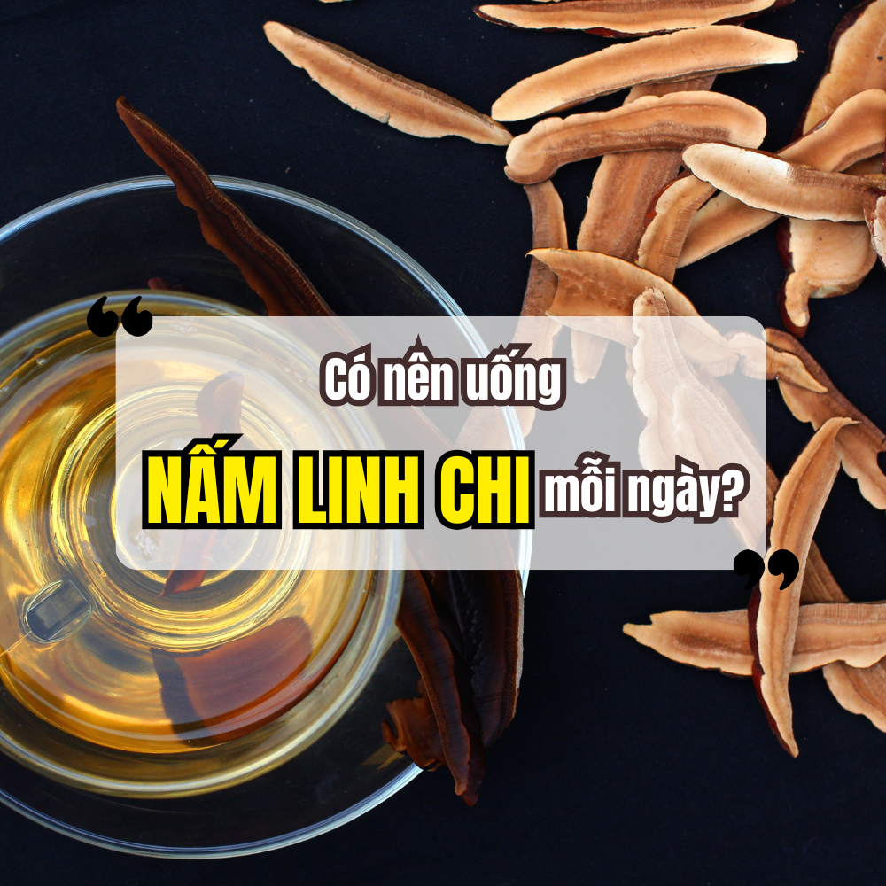 Uống Nấm Linh Chi Mỗi Ngày Có Tốt Không?