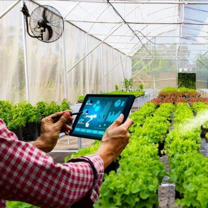 Vĩnh Long: Chuyển Đổi Số Là Nền Tảng Phát Triển Kinh Tế Địa Phương