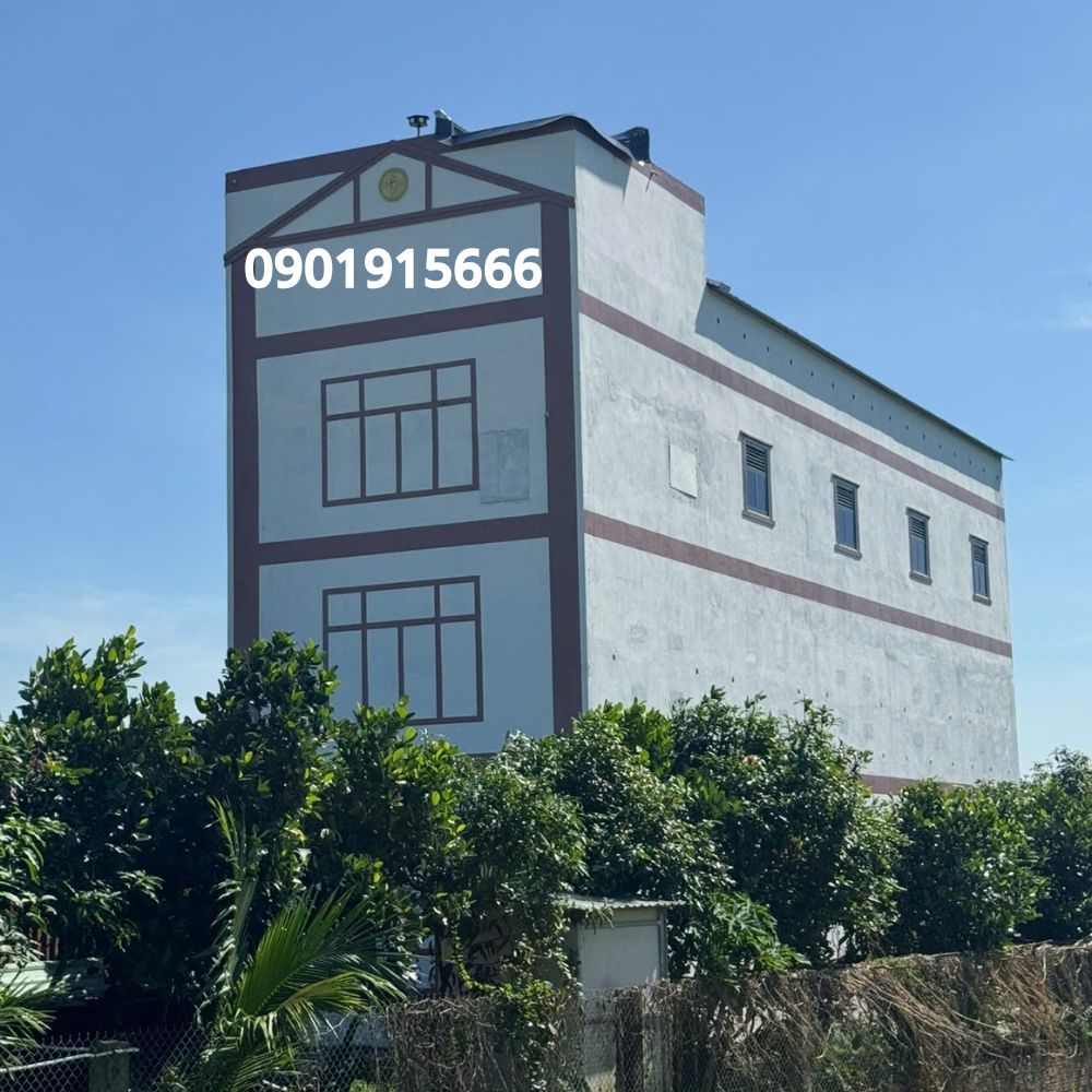 Môi Trường Sống Ảnh Hưởng Thế Nào Đến Sự Phát Triển Của Nhà Yến?