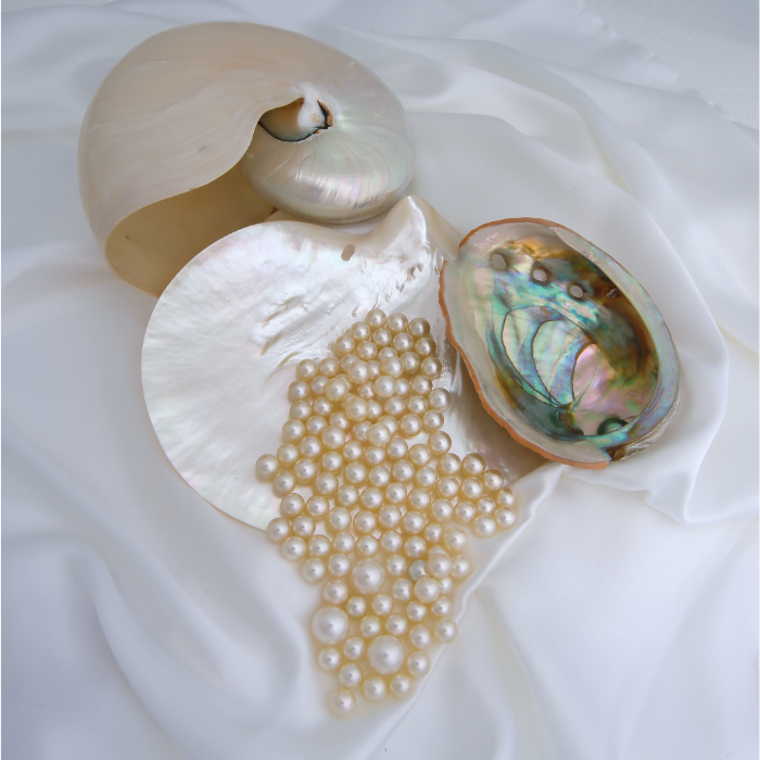 Cách Bảo Quản Trang Sức Ngọc Trai Đúng Cách