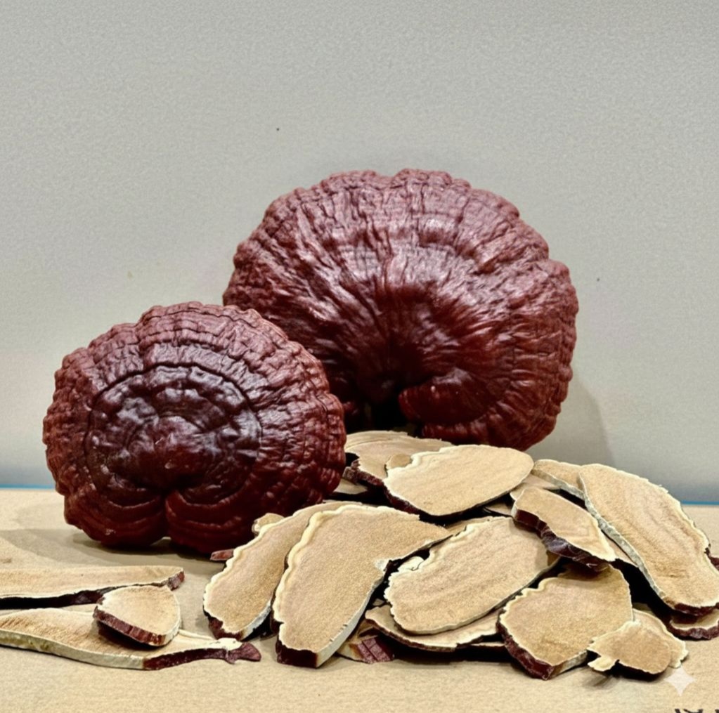 Nấm Linh Chi Có Tác Dụng Gì Cho Nữ Giới?