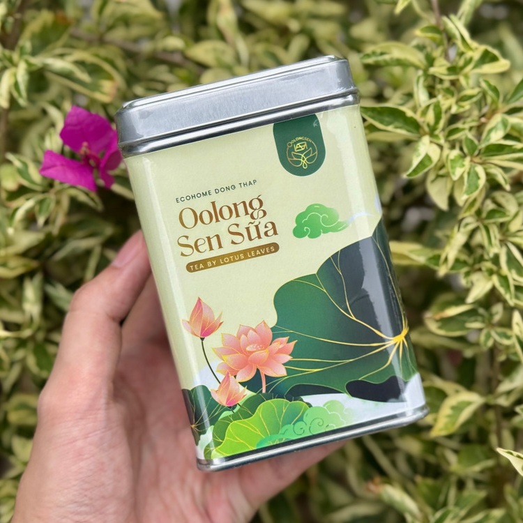 Uống Trà Oolong Sen Sữa Mỗi Ngày Có Tốt Không?