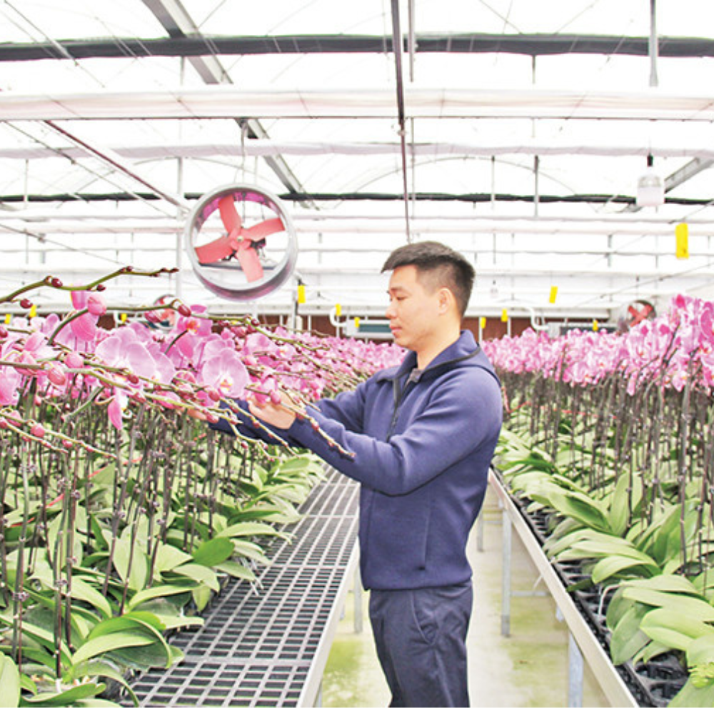 Hưng Yên Thúc Đẩy Chuyển Đổi Số Trong Nông Nghiệp