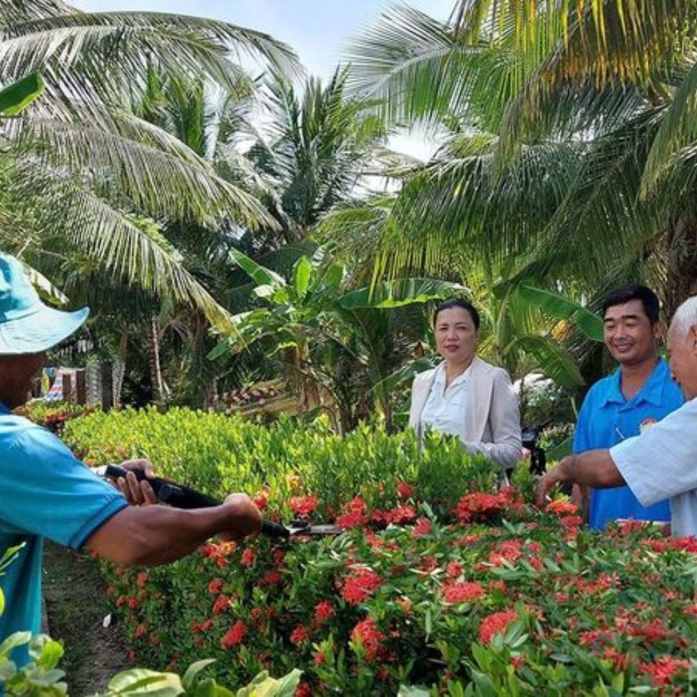 Điểm Sáng Văn Hóa Định Hòa