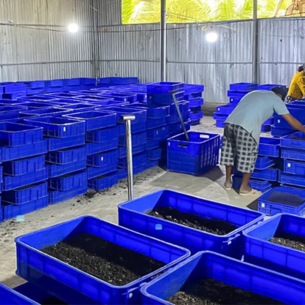 Ấn Tượng Những Dự Án Khởi Nghiệp Trẻ