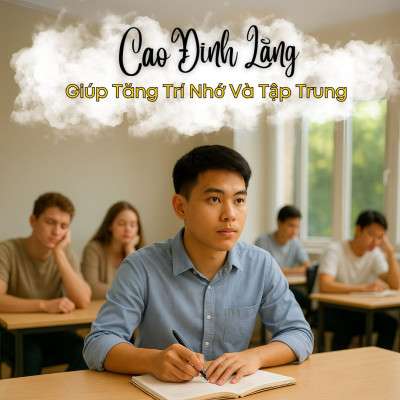 Uống Cao Đinh Lăng Hòa Tan Có Giúp Tăng Trí Nhớ Và Tập Trung Hơn?