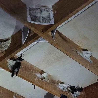 Bảo Dưỡng Góc Lưới Inox 304 Viền Nhựa Như Thế Nào Cho Đúng Cách?