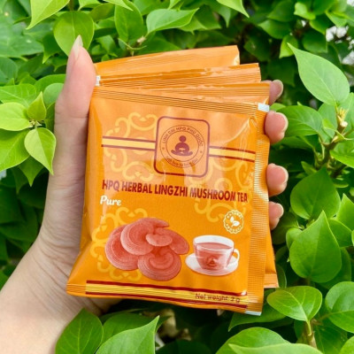 Uống Trà Linh Chi Thảo Dược Mỗi Ngày Có Tốt Không?