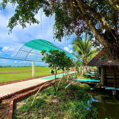 Phú Điền Nơi Vui Chơi Giải Trí Vào Những Dịp Lễ