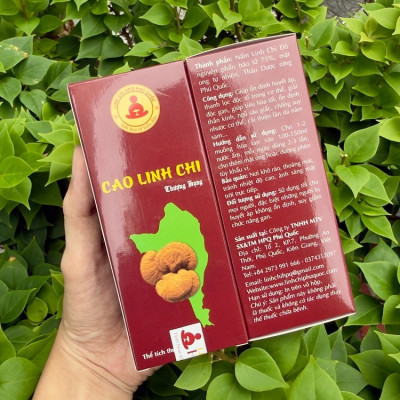 Cao Linh Chi Và Nấm Linh Chi Thái Lát Loại Nào Tốt Hơn?