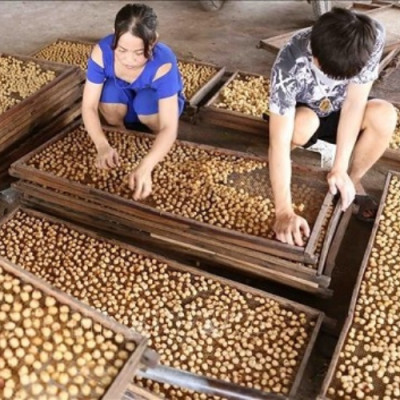 Làng Nghề Long Nhãn Sấy Phương Chiểu