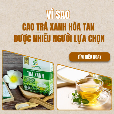 Vì Sao Cao Trà Xanh Hòa Tan Được Nhiều Người Lựa Chọn Thay Cho Trà Truyền Thống?