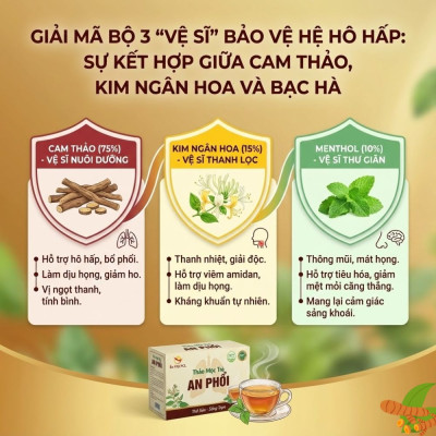 Giải Mã Bộ 3 "Vệ Sĩ" Bảo Vệ Hệ Hô Hấp: Sự Kết Hợp Giữa Cam Thảo, Kim Ngân Hoa Và Bạc Hà