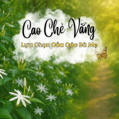 Tại Sao Chè Vằng Quảng Trị Của Gold Herbal Được Nhiều Mẹ Sau Sinh Lựa Chọn?