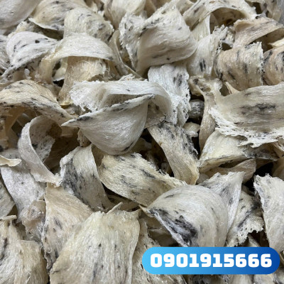 Lợi Ích Các Thiết Bị Hỗ Trợ Khi Nuôi Yến