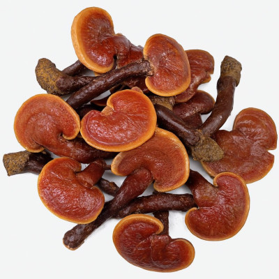 Nấm Lim Xanh Có Tác Dụng Gì?